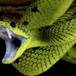 Screenshot 2024-07-30 at 7.18.46 AM